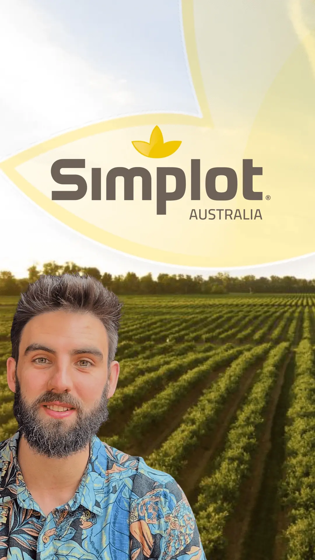 SIMPLOT project thumbnail